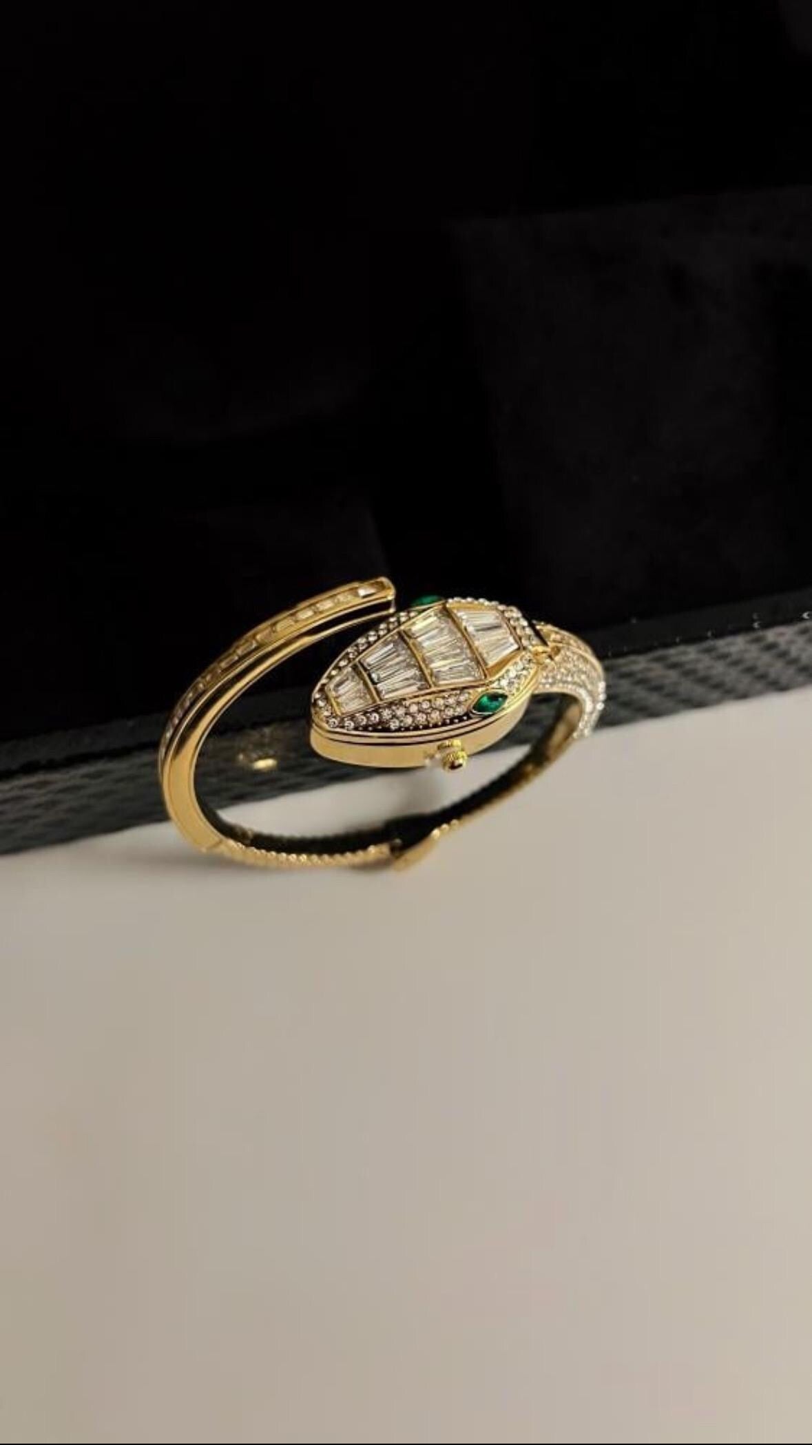 Luxury snake gold and silver watch